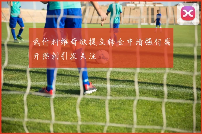 武什科维奇欲提交转会申请强行离开热刺引发关注